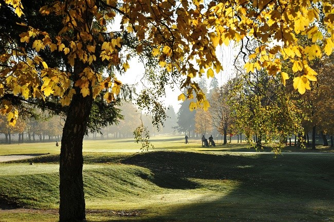 Golf Club Mariánské Lázně - Hřiště